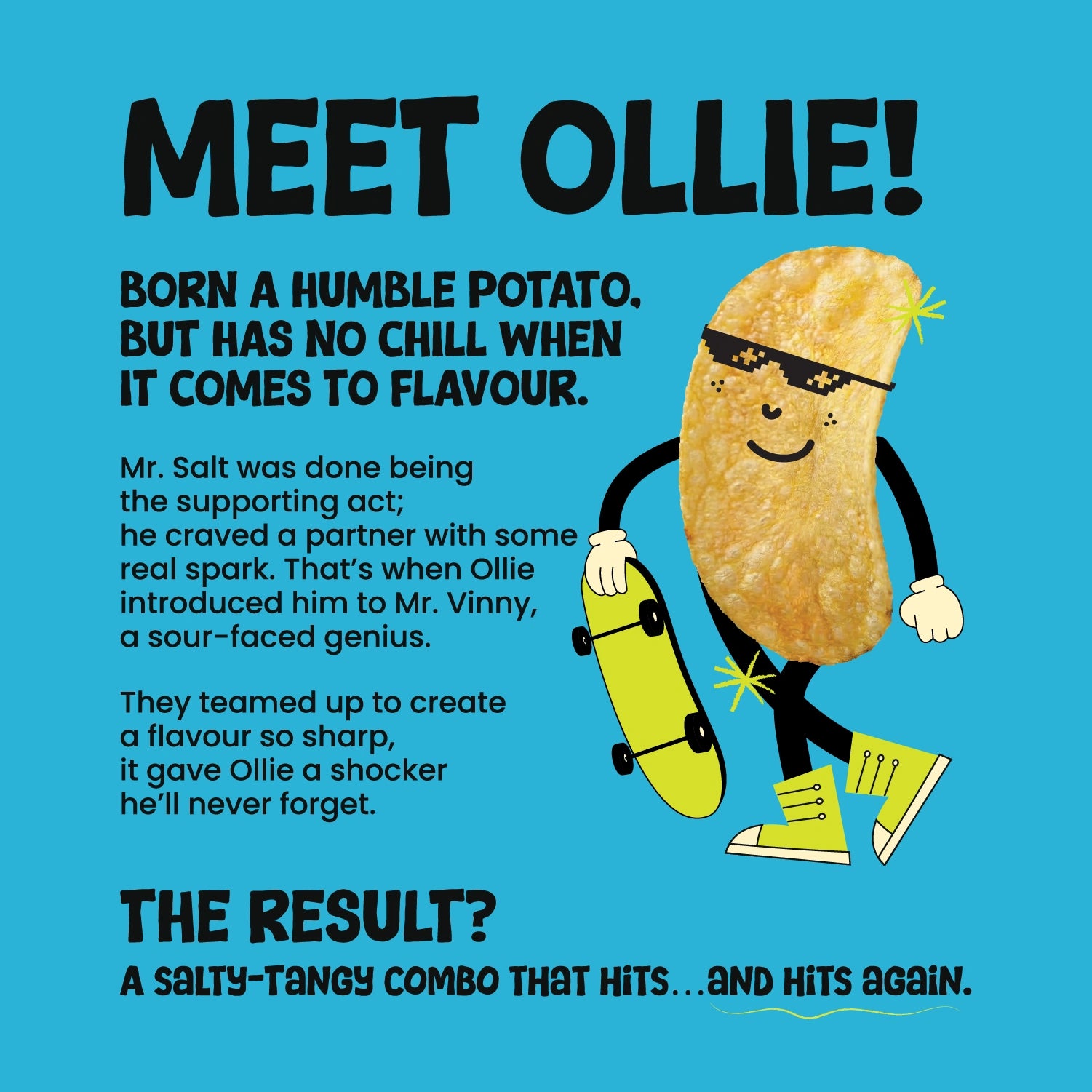 Salt n' Vinegar Potato Chips
