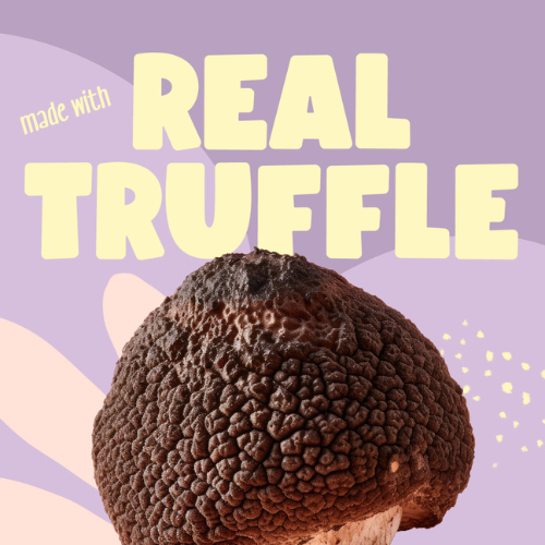 All Things Truffle: A Gourmet's Guide