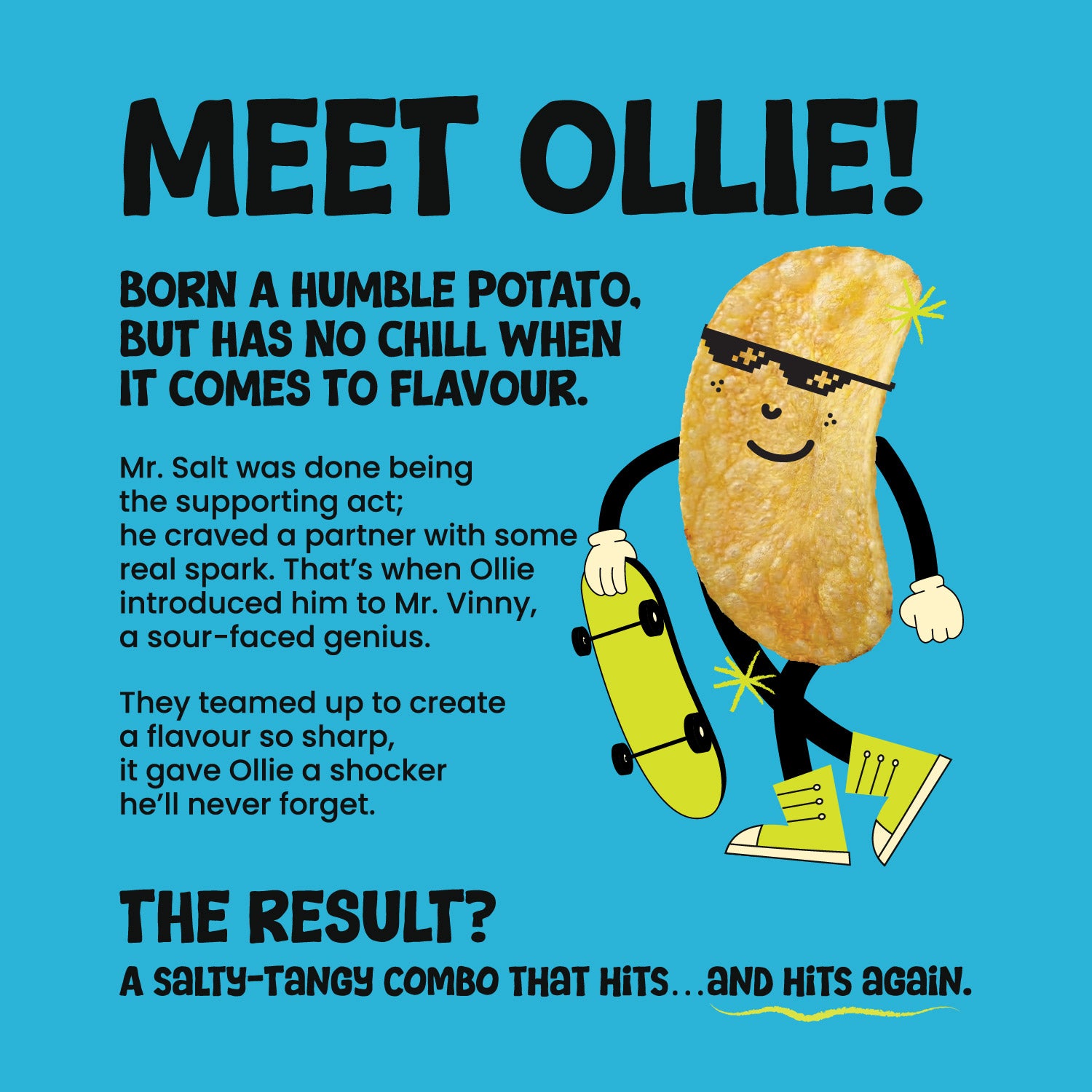 Salt n' Vinegar Potato Chips