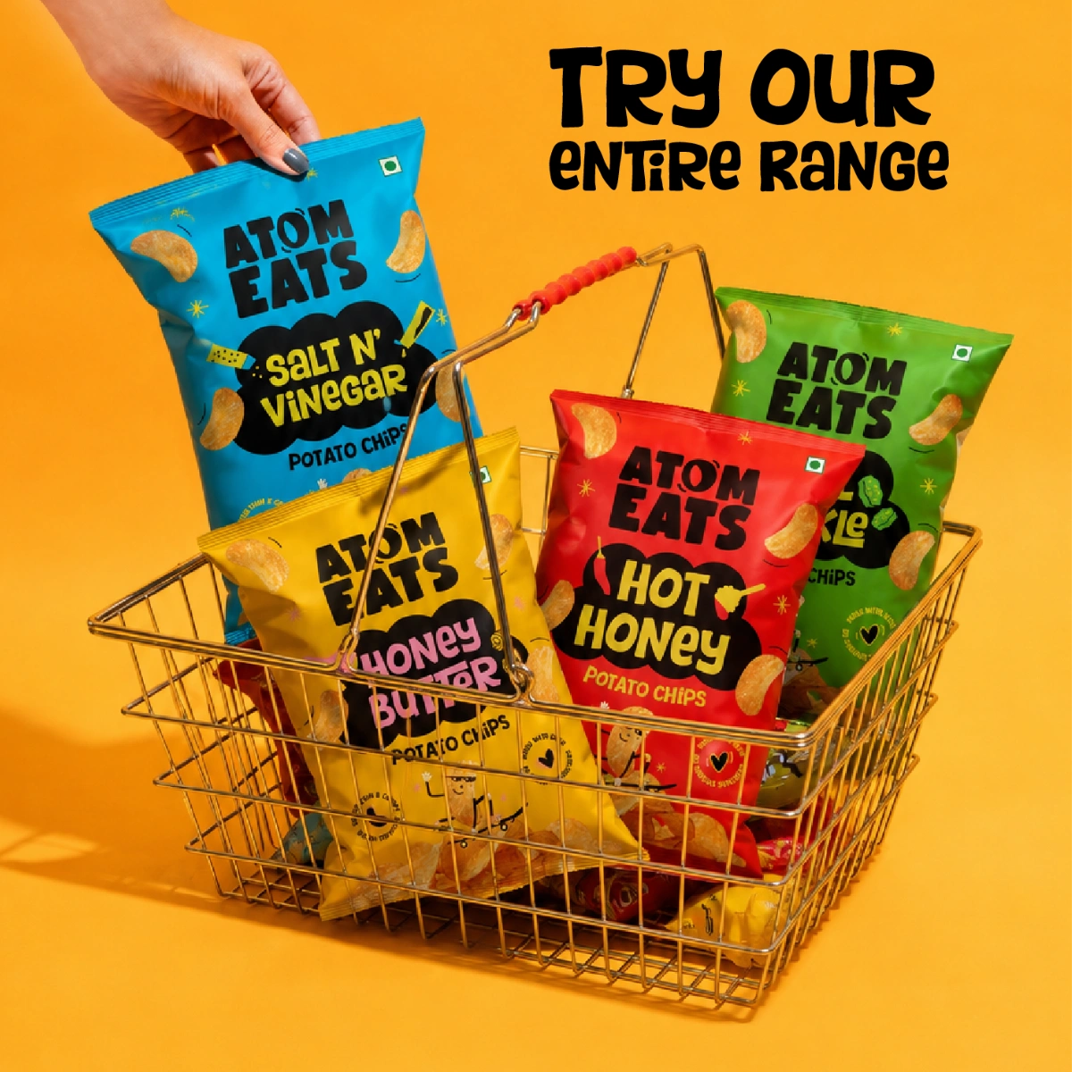 Salt n' Vinegar Potato Chips
